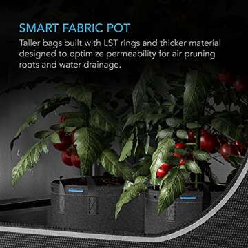 AC Infinity Heavy Duty Fabric Pots, 7 Gallon Aeration Grow Bags 5-Pack with 500G Thick Nonwoven Fabr...