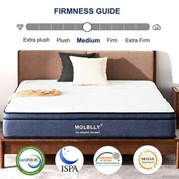 Molblly Full Mattress, 12 inch Hybrid Full Size Infused Memory Foam and Pocket Spring Mattress for Sleep & Pressure Relief, Medium Firm Mattresses, Blue 54"x75"x12"