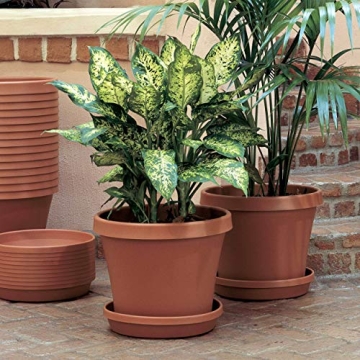 Bloem 50008C Fiskars TerraPot Planter 8" Durable Design