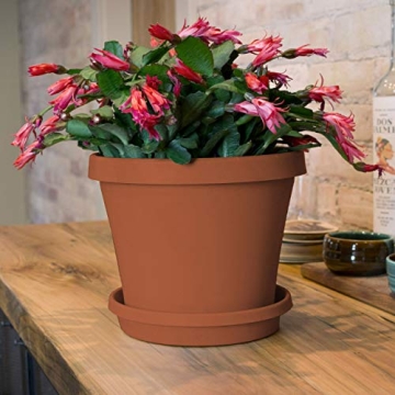 Bloem 50008C Fiskars TerraPot Planter 8" Durable Design