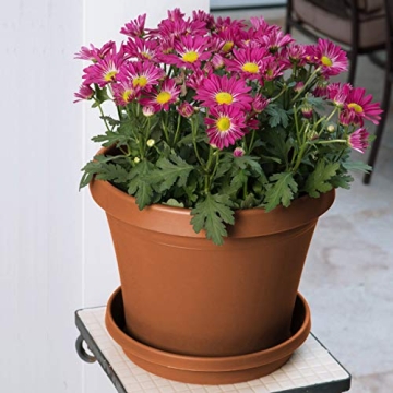 Bloem 50008C Fiskars TerraPot Planter 8" Durable Design