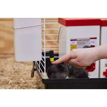 RentACoop 64oz(2L) Drinker Plus 2 Versatile Nipples - Suitable for Chicks, Quail, Pigeons, Doves, and Other Smaller Birds - 1 Pack