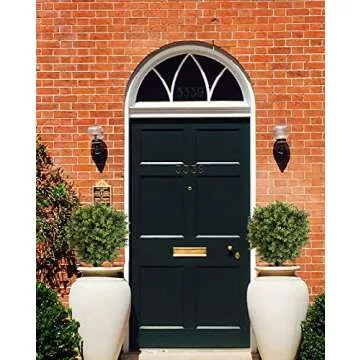 HN HOLD NATURE Artificial Topiary Ball Tree, 2 Pack Artificial Plants Outdoor, Ball Shaped Boxwood Topiary, Artificial Shrubs Potted for Indoor and Outdoor (22inch)