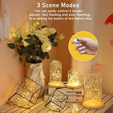 Magical 12 Pack Fairy Lights with Extra Batteries
