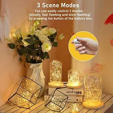 Magical 12 Pack Fairy Lights with Extra Batteries