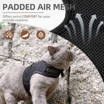 PUPTECK Soft Mesh Cat Vest Harness and Leash Set Puppy Padded Pet Harnesses Escape Proof for Cats Sm...