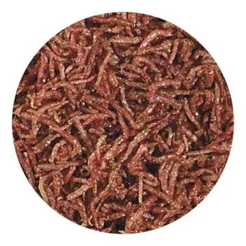 Hikari Bio-Pure Freeze Dried Blood Worms for Pets, 0.42-Ounce