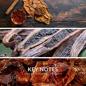 Reyane Tradition Insurrection II Wild - Captivating Fragrance