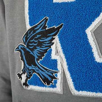 Bioworld Harry Potter Ravenclaw Chenille Patch Hooded Sweatshirt-Meedium