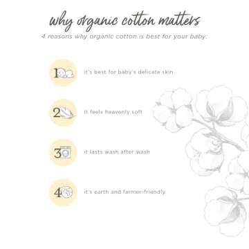 Burt's Bees Baby Bassinet Sheets: 100% Organic Cotton