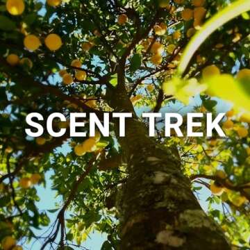 MO'OREA Laundry Detergent Pods,Green Fresh Scent,Long Lasting Scent,2 in1 Pacs with Scent Booster Beads,120 count,Washing Detergent Pods (Apple)