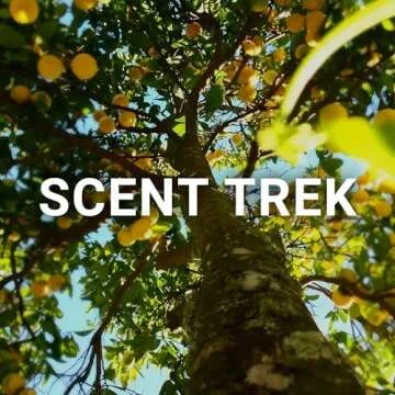 MO'OREA Laundry Detergent Pods,Green Fresh Scent,Long Lasting Scent,2 in1 Pacs with Scent Booster Beads,120 count,Washing Detergent Pods (Apple)