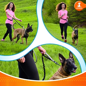 SparklyPets Hands Free Dog Leash for Easy Dog Walking and Jogging