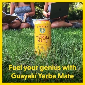 Guayakí Organic Yerba Mate Energy Drink - Berry Lemonade