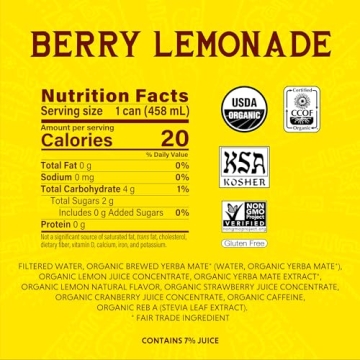 Guayakí Organic Yerba Mate Energy Drink - Berry Lemonade