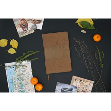 NIV Kids' Visual Study Bible - Vibrant & Engaging Faith Exploration