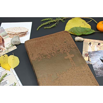 NIV Kids' Visual Study Bible - Vibrant & Engaging Faith Exploration