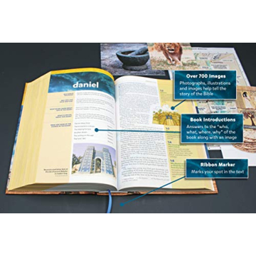 NIV Kids' Visual Study Bible - Vibrant & Engaging Faith Exploration