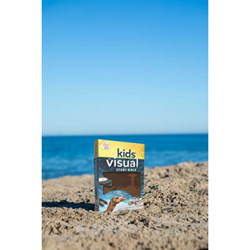 NIV Kids' Visual Study Bible - Vibrant & Engaging Faith Exploration