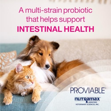Nutramax Proviable Digestive Health Probiotics for Pets