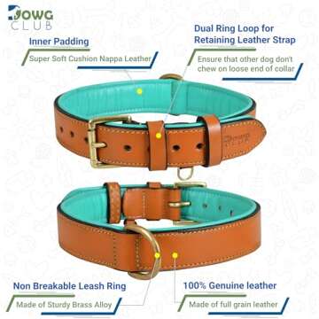Genuine Leather Dog Collar | Full Grain, Heavy Duty, Comfortable, Padded, Strong | Best for Pups, Sm...