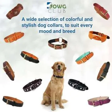 Genuine Leather Dog Collar | Full Grain, Heavy Duty, Comfortable, Padded, Strong | Best for Pups, Small, Medium, Large & XL Breeds (X-Large (Fit Neck Size 22"-26"), Tan)