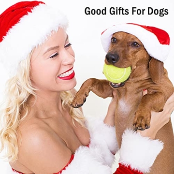 POPFRO 12 Pack High Bounce Durable Tennis Balls Training Pets