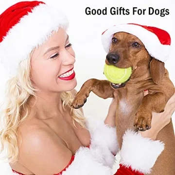 POPFRO 12 Pack High Bounce Durable Tennis Balls Training Pets