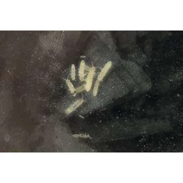 Josh's Frogs Temperate Springtail (Collembola) Culture (32 oz)