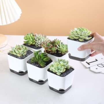 Oliz Succulent Pots - Elegant White Mini Planters Pack of 6