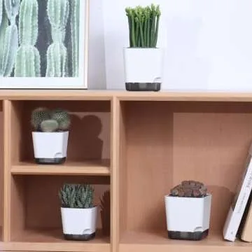 Oliz Succulent Pots - Elegant White Mini Planters Pack of 6