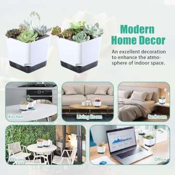 Oliz Succulent Pots - Elegant White Mini Planters Pack of 6