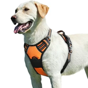 Eagloo Dog Harness for Large Dogs - Durable, Adjustable and Reflective