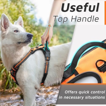 Durable, Adjustable Eagloo Dog Harness for Large Dogs
