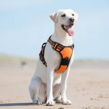 Durable, Adjustable Eagloo Dog Harness for Large Dogs