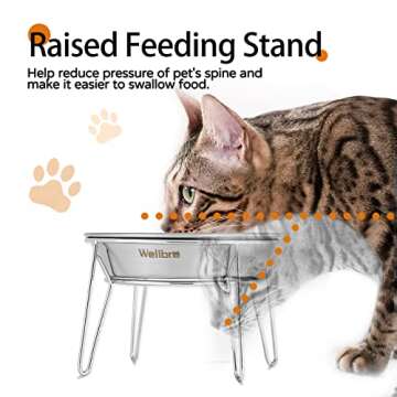 Wellbro Elevated Cat Bowls, 5.9 Inch Wide Stainless Steel Cat Food Bowls with Metal Stand Whisker St...