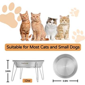 Wellbro Elevated Cat Bowls, 5.9 Inch Wide Stainless Steel Cat Food Bowls with Metal Stand Whisker Stress-Free, Raised Food and Water Dish for Cats, Kitten, Puppies and Small Dogs-2 Pack