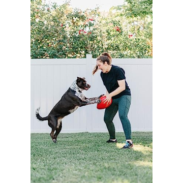 Durable Jolly Pets Jolly Egg for Large Dogs - 12 Inch