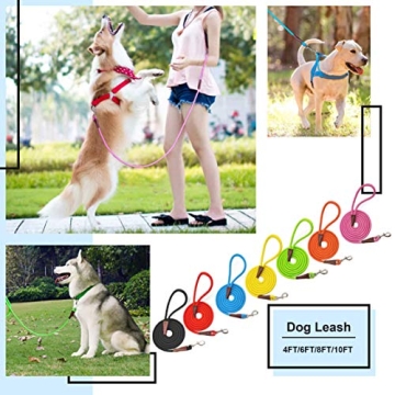 MayPaw Strong Nylon Dog Leash Leather Reinforced Stylish