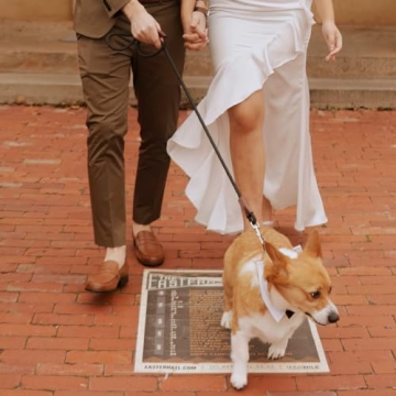 MayPaw Strong Nylon Dog Leash Leather Reinforced Stylish