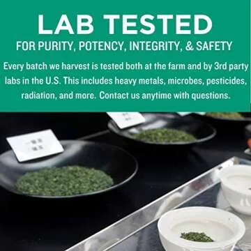 Jade Leaf Matcha Culinary Grade Organic Powder 8.8 Ounce