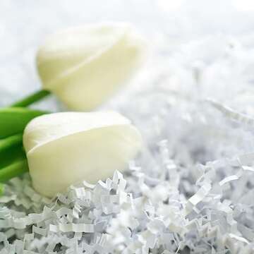 Bobobag - 2LB Crinkle Cut Paper Shred Filler Recyclable Gift Wrap Confetti Raffia Grass Shred Paper ...