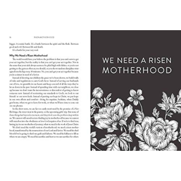 Risen Motherhood: Gospel Insights for Every Mom