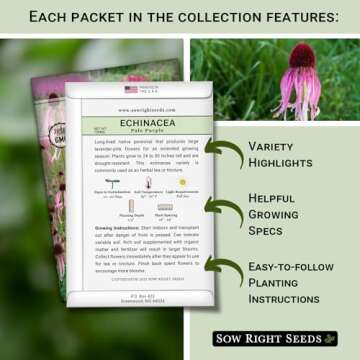 Sow Right Seeds - Large Flower Seed Collection - Coleus, Carnation, Daisy, Calendula, Alyssum, Echin...