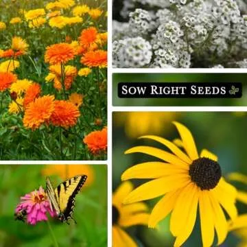 Sow Right Seeds - Large Flower Seed Collection - Coleus, Carnation, Daisy, Calendula, Alyssum, Echinacea, Lavender, Snapdragon & Zinnia - Non GMO Heirloom Seeds for Planting - 10 Packets