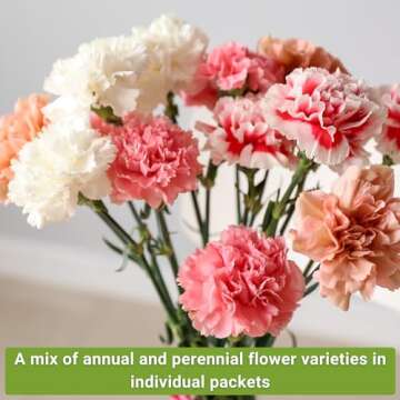 Sow Right Seeds - Large Flower Seed Collection - Coleus, Carnation, Daisy, Calendula, Alyssum, Echinacea, Lavender, Snapdragon & Zinnia - Non GMO Heirloom Seeds for Planting - 10 Packets