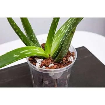rePotme 8 inch Orchid Pot 3 Pack - Slotted Planters