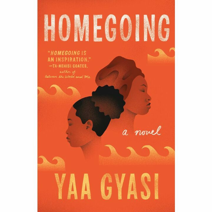 Homegoing: A Novel Exploring Family and Identity