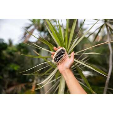 TEK - Scalp Massage Brush in Ash Wood with Strap, Ideal for Washing Air and Application of Anti-Hair Loss Lotions, 8,5 x 5 cm