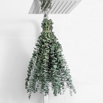 Dried Eucalyptus Stems for Shower and Home Decor